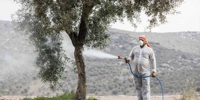 Zeytin Üreticisinin Belini Büken Hastalığa Karşı İlaç Dağıtıldı