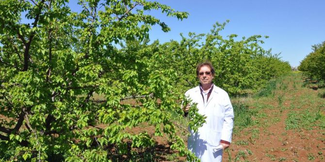 Diyarbakır Kayısıda Malatya’ya Rakip Olmaya Hazırlanıyor