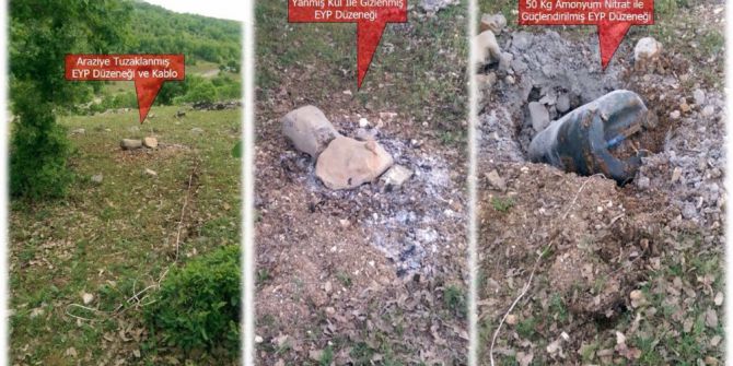 Eğitimli Köpekler Buldu, Güvenlik Güçleri İmha Etti