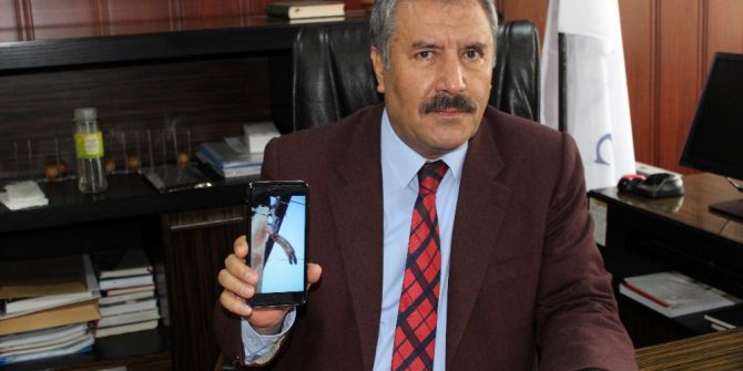 2 Metrelik Yılan 12 Köyü Karanlıkta Bıraktı