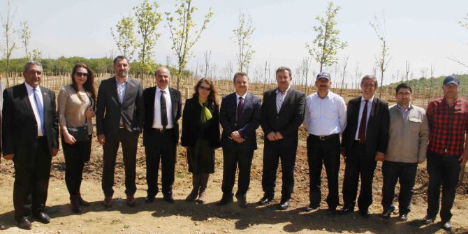 Büyükşehir’den 30 Hektarlık Muhtarlar Hatıra Ormanı