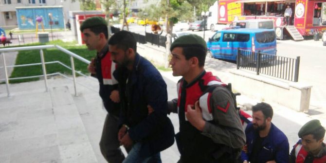 Edirne’de 66 Kaçak Göçmen Yakalandı