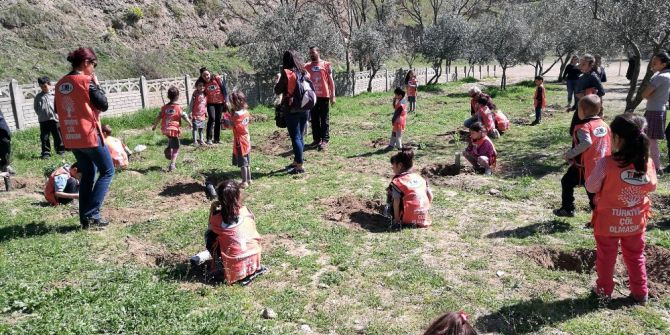 Minik Eller Fidanları Toprakla Buluşturdu