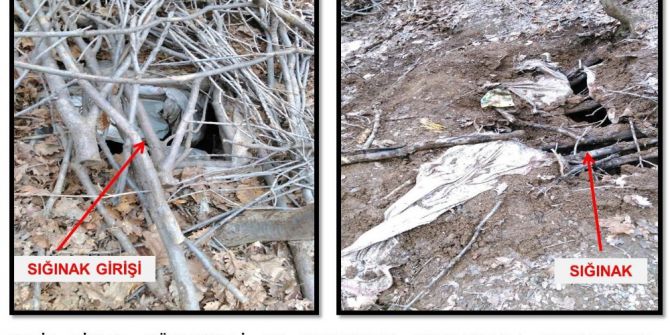 Bitlis’te 7 Odalı Sığınak Ve Malzemeler İmha Edildi