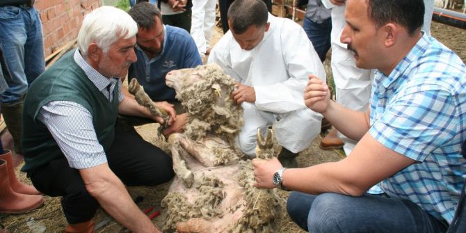 Devrek Tarım İlçe Müdürlüğünden Uygulamalı Eğitim