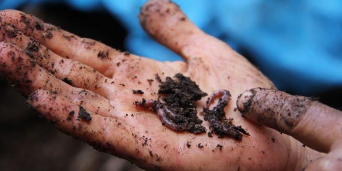 Dünyanın Pisliğini ‘Siyah Altınlar’ Ortadan Kaldırıyor