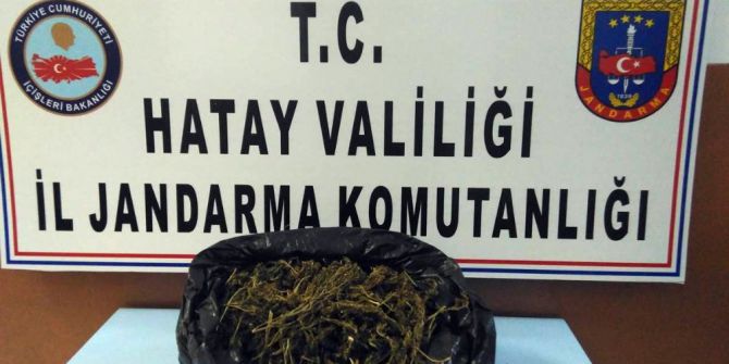 Hatay’da Kaçakçılık Ve Uyuşturucu Operasyonu