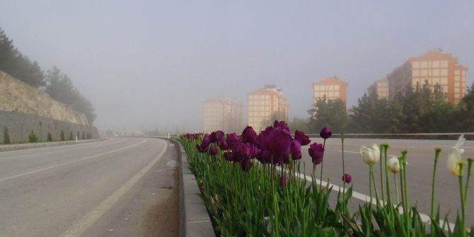 Kilis’te Sis Etkili Oldu