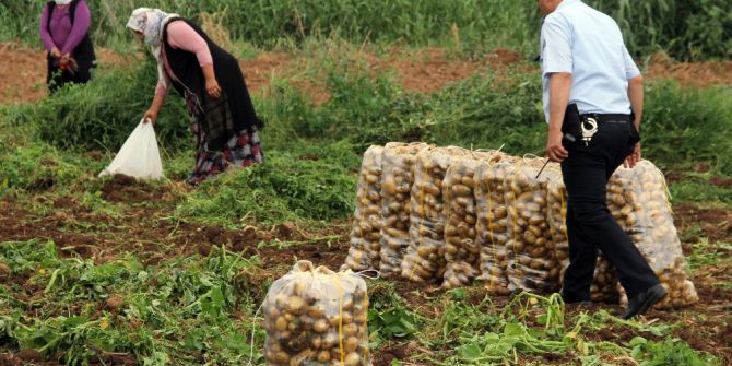 Patates Başakçıları Polise Rağmen Tarladan Çıkmadı