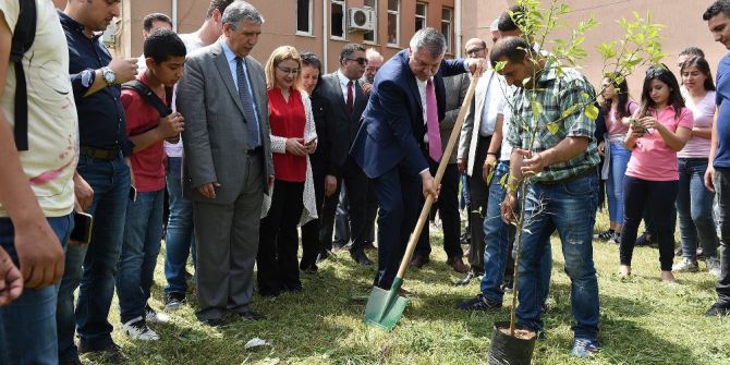 100 Bin Adet Turunç Fidanı Toprakla Buluşuyor