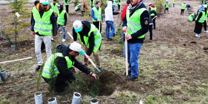 52 Milyon Adet Fidan Toprakla Buluşturuldu