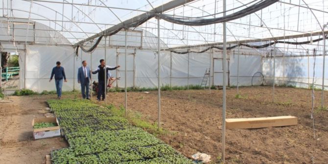 Tarım Müdürü Yolcu Seraları Dolaştı