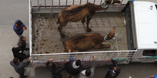 Develi Tanıtıma Özçekimli Karşılık