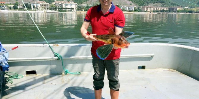 Körfez’de Balık Çeşitliği Artacak