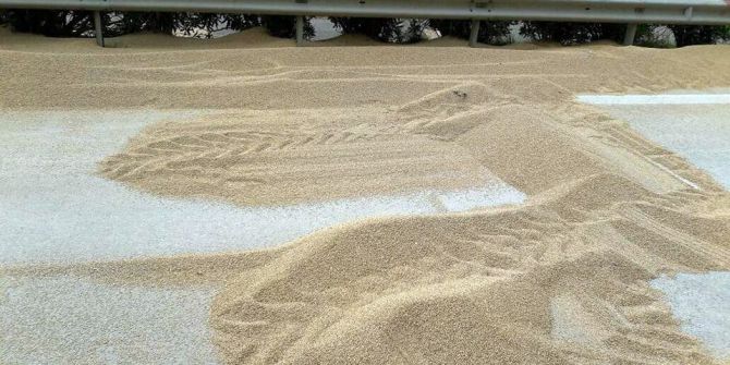 Buğday Yüklü Tır Devrildi