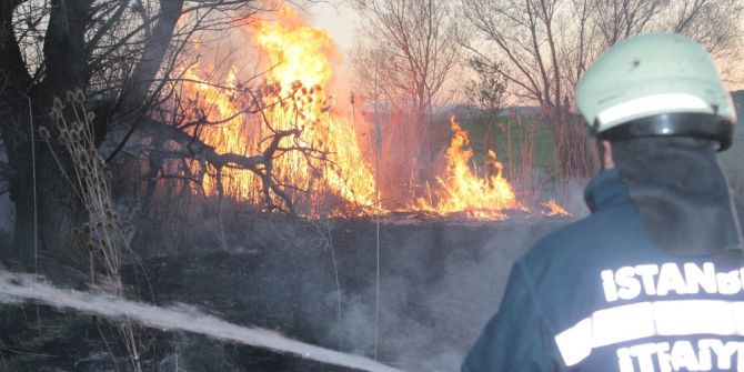 Tavşanlı’da Arazide Yangını