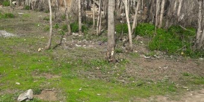 Güroymak’ta Yeni Yollar Açılıyor