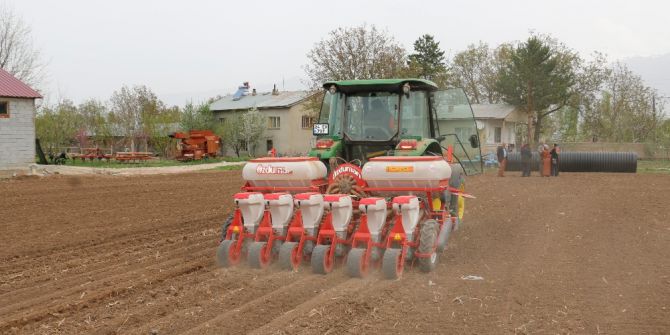 Ergan Fasulyesi Demonstrasyon Çalışmaları Başladı