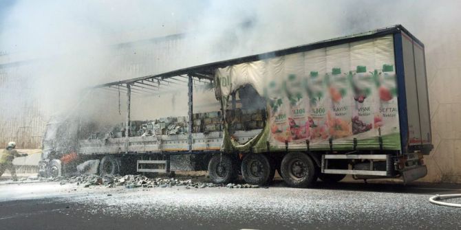 24 Ton Süt Yükü Tır Alev Alev Yandı