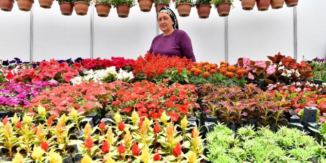 Çiçeğin Başkentinde "Çiçek Festivali"