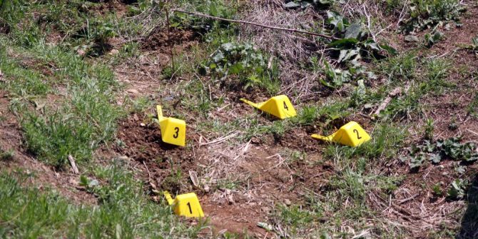 Bolu’da 27 Kök Hint Keneviri Bulundu