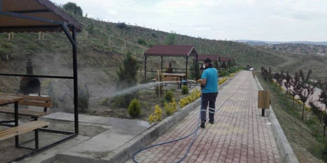 Sungurlu’da Haşere İle Mücadele Çalışmaları