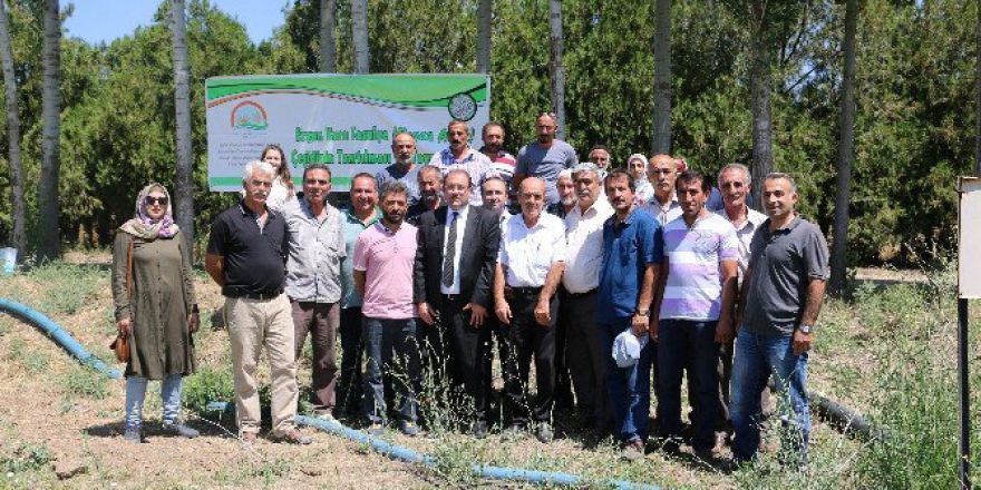 Ergan Fasulyesinde Çalışmalar Sürüyor