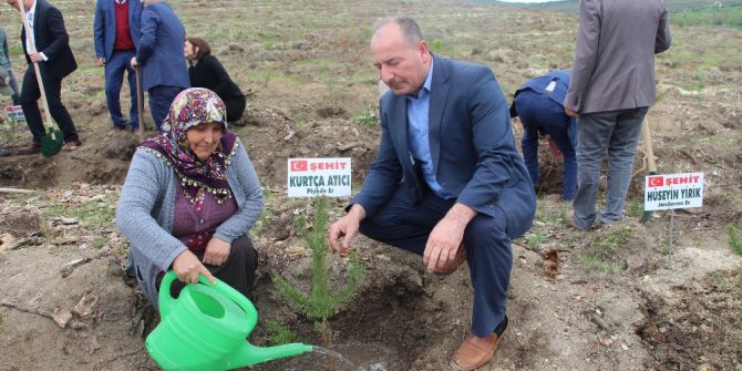 Vezirköprü Şehitlerine Hatıra Ormanı