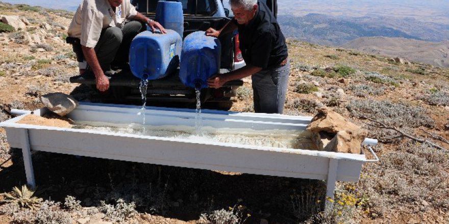 Yaban Hayvanları İçin Doğaya Su Teknesi Yerleştirildi