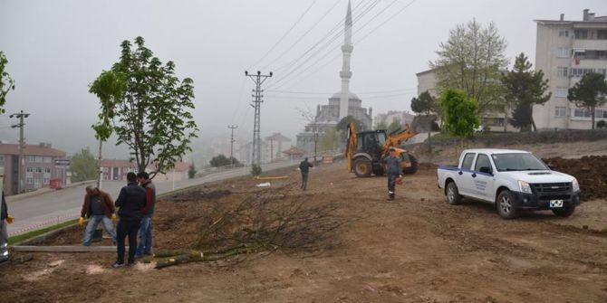Alaplı Belediyesi Dört Koldan Çalışıyor