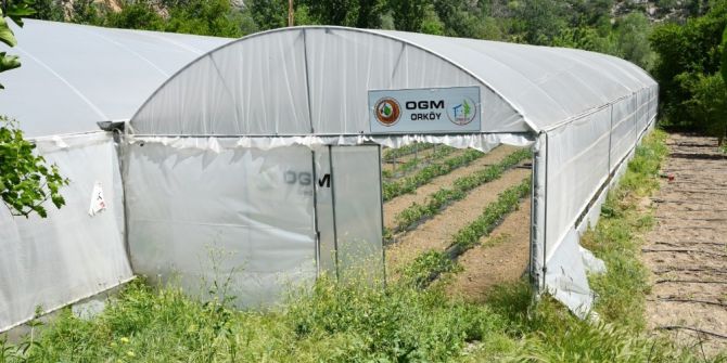 Orköy’den 33 Aileye Daha Seracılık Kredisi