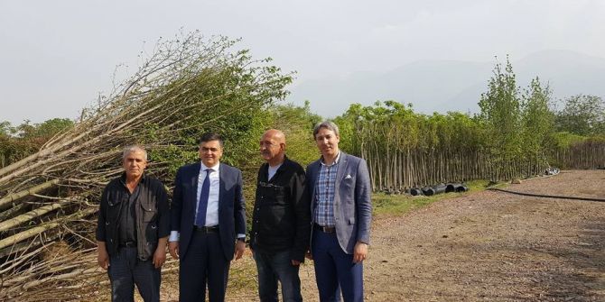 Başkan Yalçın’ın İlçeyi Ağaçlandırma Çalışmaları