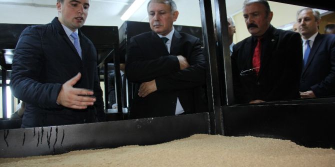 Artvin’de Kayın Mantarı Serası Kuruldu