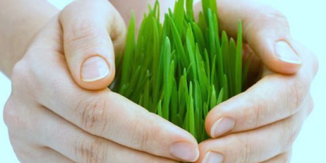 Yüksekokula Yeni Program