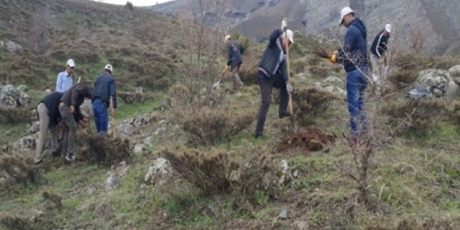 Bingöl’de Yaban Hayvanları Destekleniyor