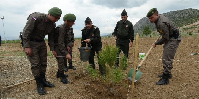 Jandarma Şehitler Ormanında 810 Fidan Toprakla Buluştu