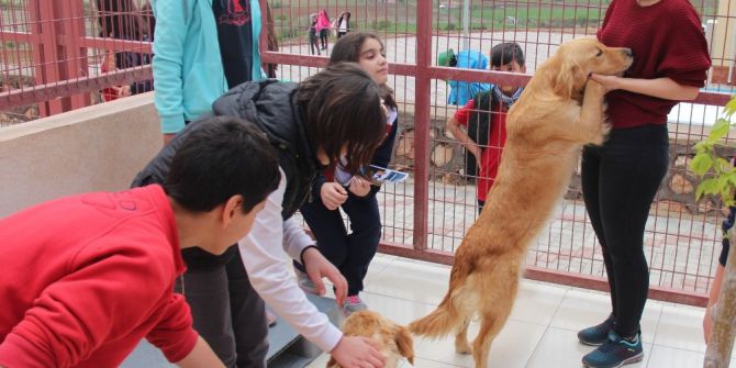 Öğrenciler, Koruma Altına Alınan Sokak Hayvanlarını Ziyaret Etti