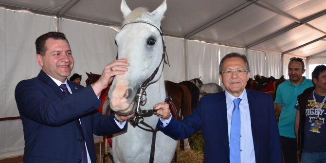 Uluslararası Altın Ok Geleneksel Türk Okçuluğu Ve Atlı Savaş Sanatları Festivali Başlıyor