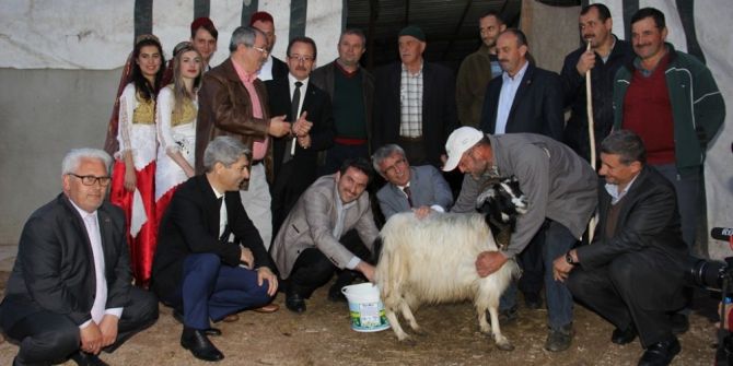 Iv. Uluslararası Hıdırellez Bayramı Kutlanacak