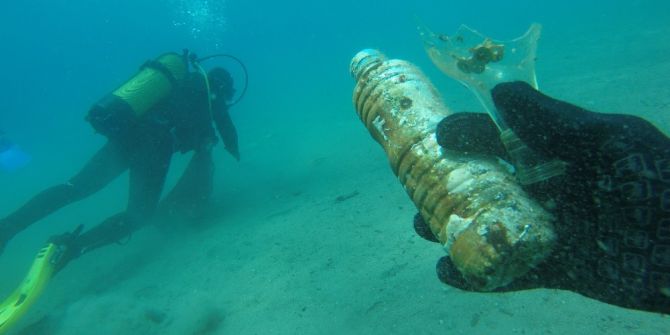 Sosyete Koyunda Deniz Altından Çıkanlar Herkesi Şok Etti