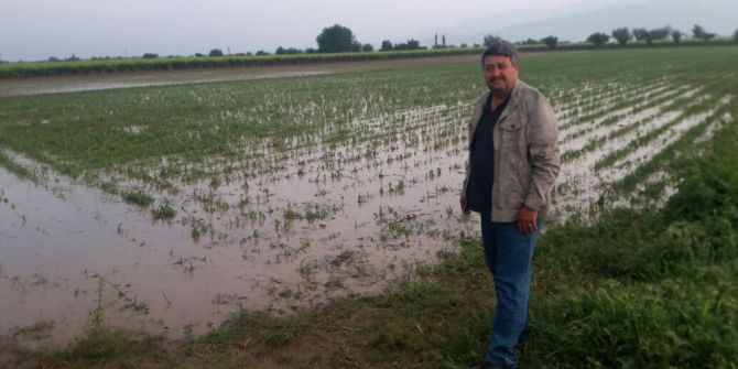Manisa’da Dolu Yağışı Üzüm Bağlarını Vurdu