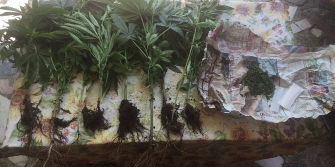 Marmaris Jandarmasından Sezon Başlangıcı Uyuşturucu Tacirlerine Gözdağı