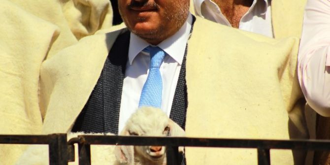 Koçlar Podyuma Çıkacak