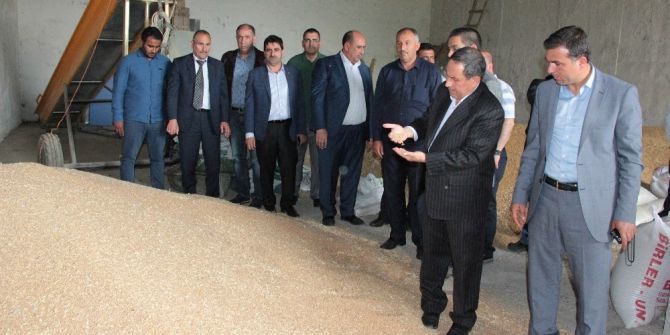 Gaziantepli Hububatçılardan Güneydoğu Çıkarması