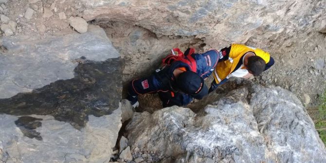 Dağda Mahsur Kalanların İmdadına Mehmetçik Yetişti