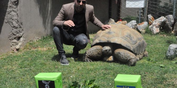 97 Yaşındaki Kaplumbağa Tuki’den Derbi Tahmini