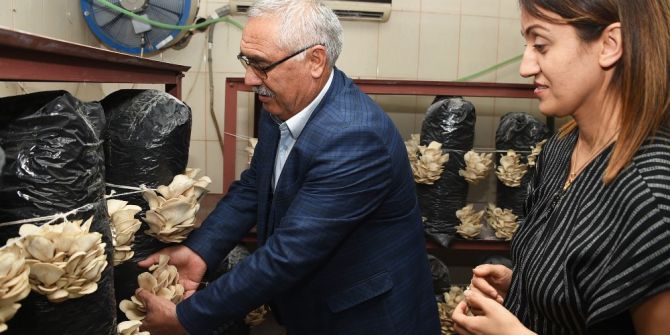 Kurs Sonunda İstiridye Mantarı Hasadı Yapıldı