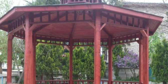 Kütahya’da 9 Köye Kamelya