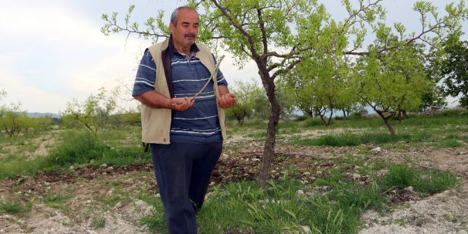 Geleneksel Yöntemlerle Su Arıyor