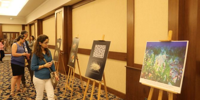 Bilimde Gizlenen Sanat Fotoğraflarla Gün Yüzüne Çıktı